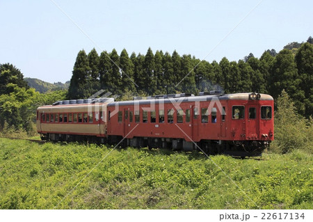 鉄橋を渡る いすみ鉄道キハ52+28 22617134