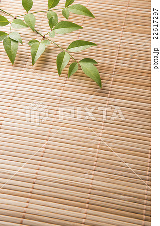 籐マットと南天 22617297