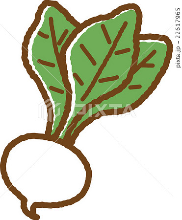 カブ カブ 22617965