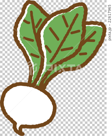 カブ カブ 22617965