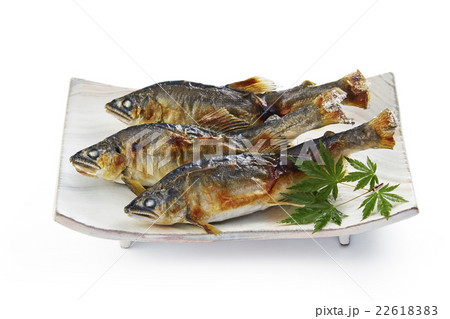 鮎の塩焼き 22618383