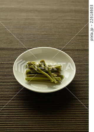 わらびのお浸し わらびのお浸し 22618603