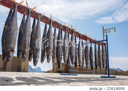 Fish preservation by drying, salt fish Fish preservation by drying, salt fish 22619006