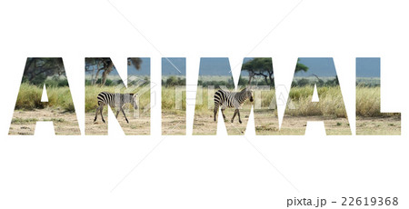 Background with word "Animal" Background with word "Animal" 22619368