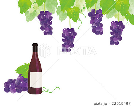 赤ワインとぶどう イラストのイラスト素材 22619497 Pixta