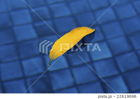 Yellow leaf over the water 22619696