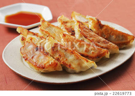 焼き餃子 22619773