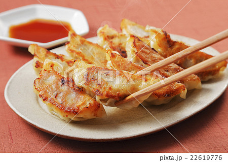 焼き餃子 22619776