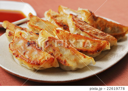 焼き餃子 22619778