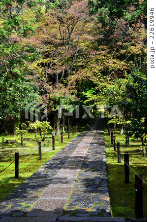 鹿王院　参道（2016.4） 22619946