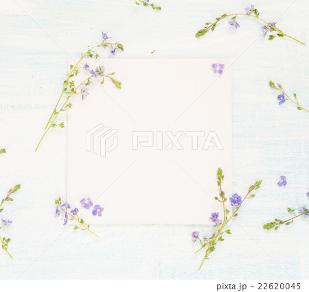 Scrapbooking page with blue flowers 22620045