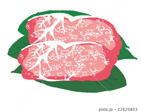 ステーキ肉 22620803