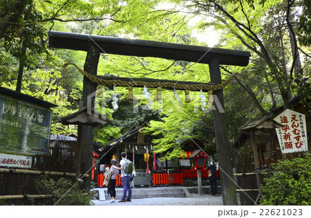 野宮神社(2016.4) 野宮神社(2016.4) 22621023