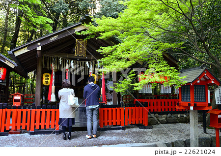 野宮神社（2016.4） 22621024