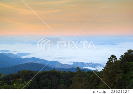 Morning View of Inthanon Mountain 22621124