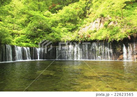 白糸の滝 白糸の滝 22623565