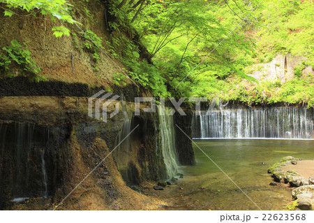 白糸の滝 22623568