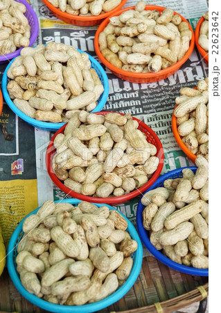 Shelled Peanuts(殻付きピーナッツ) Shelled Peanuts(殻付きピーナッツ) 22623642