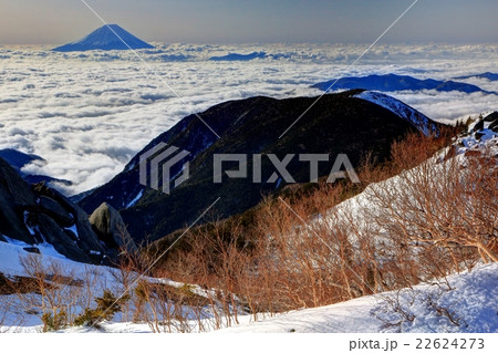 南アルプス鳳凰三山・薬師岳から雲海と富士山 22624273