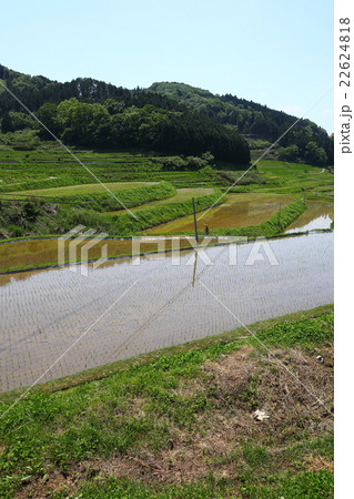 大垪和西棚田2016051464 大垪和西棚田2016051464 22624818