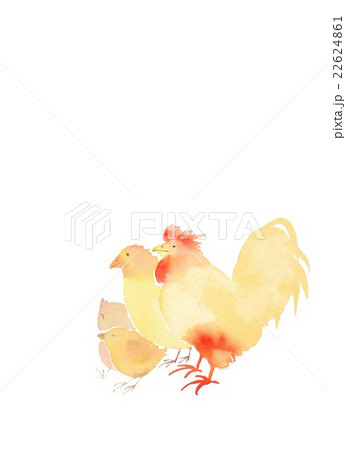 酉 年賀素材 酉 年賀素材 22624861