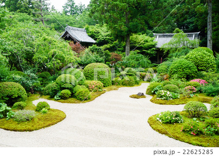龍潭寺の庭園　～直虎ゆかりの地～ 22625285