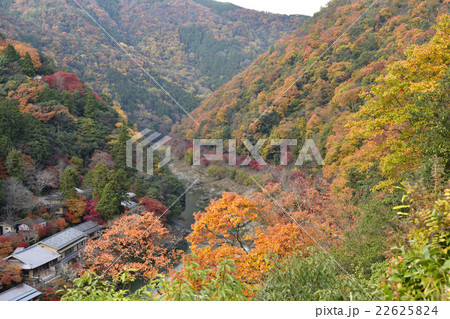 嵐山嵯峨野　保津峡谷 22625824