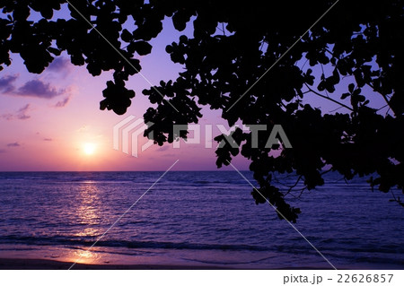 Lamai Beach Of Koh Samui Thailand タイ サムイ島のラマイビーチ の写真素材