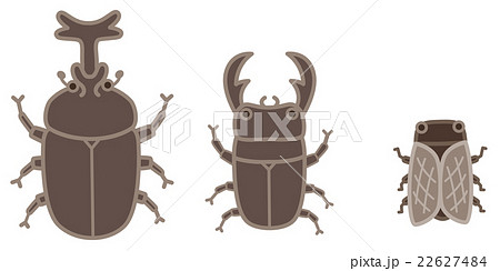 昆虫 夏 昆虫 夏 22627484