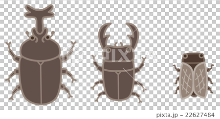 昆虫 夏 昆虫 夏 22627484