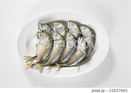 タイの蒸した魚 タイの蒸した魚 22627605