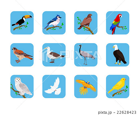 Collection of Various Birds Flat Design 22628423