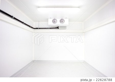 The room fridge 22628788
