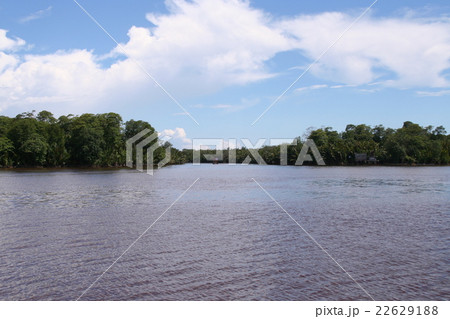 支流の河口 支流の河口 22629188