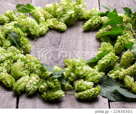 Fresh green hops on a wooden table 22630301