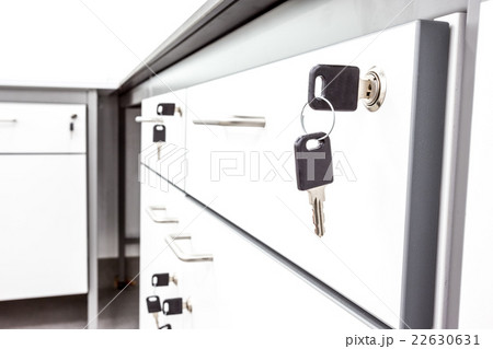 The laboratory cabinets 22630631