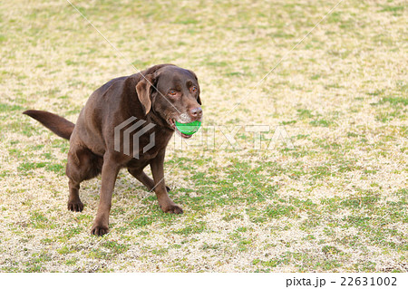 ちょっと失礼して… 22631002