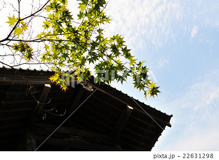 物見櫓と楓 22631298