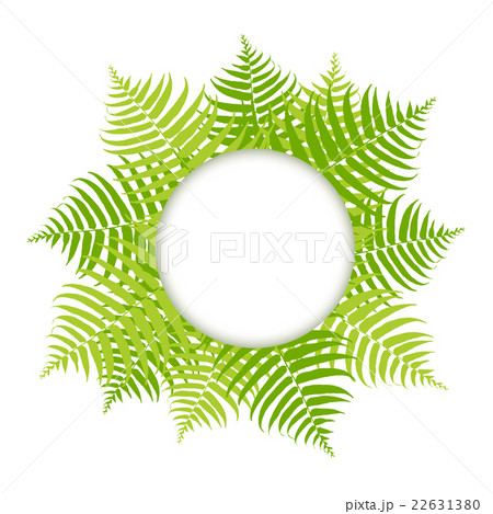 シダ植物フレームのイラスト素材