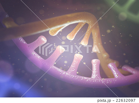 DNA and RNA molecules DNA and RNA molecules 22632097