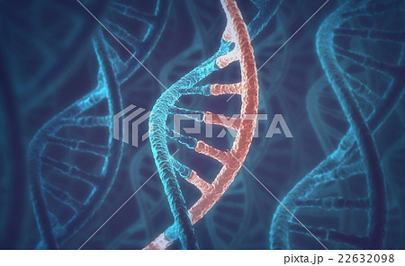 DNA and RNA molecules 22632098