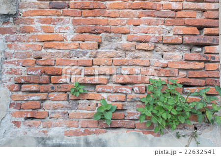 cracked concrete vintage brick wall 22632541