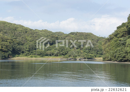 三浦半島/小網代湾から小網代の森を見る 22632621