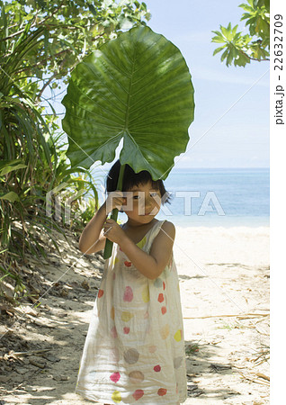 沖縄で自然体験 沖縄で自然体験 22632709