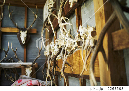 狩猟小屋 狩猟小屋 22635084