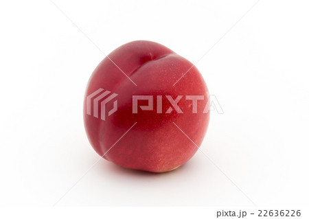 ホワイト・ネクタリン:White Nectarine 22636226