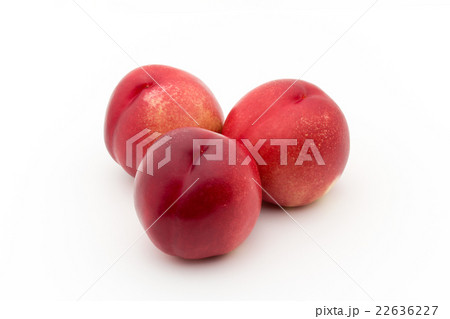 ホワイト・ネクタリン:White Nectarine 22636227