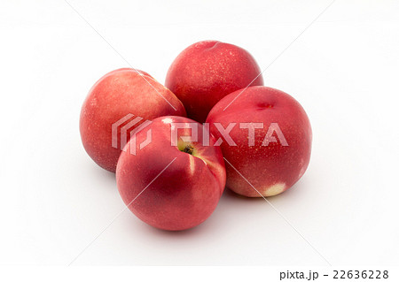 ホワイト・ネクタリン:White Nectarine ホワイト・ネクタリン:White Nectarine 22636228