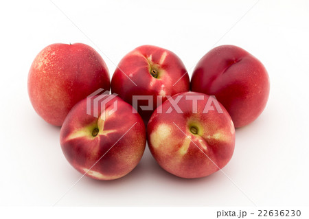 ホワイト・ネクタリン:White Nectarine ホワイト・ネクタリン:White Nectarine 22636230