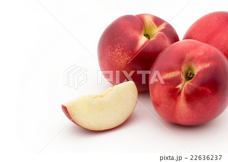 ホワイト・ネクタリン:White Nectarine ホワイト・ネクタリン:White Nectarine 22636237